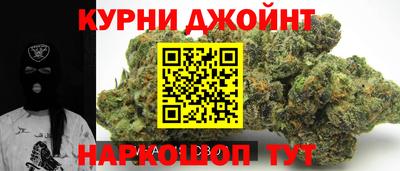 гидропоника Будённовск