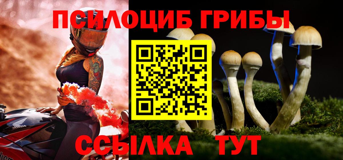 цены наркотик  Вход с VPN  Обнинск  Псилоцибиновые грибы мицелий 